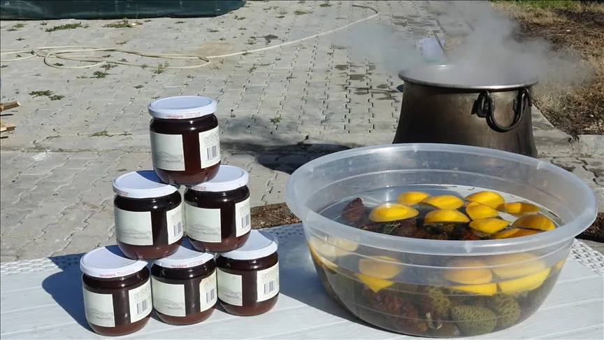 À Ayvalık, des pommes de pin bouillies pendant 8 heures dans un feu de bois grâce au travail des femmes se transforment en sirop.