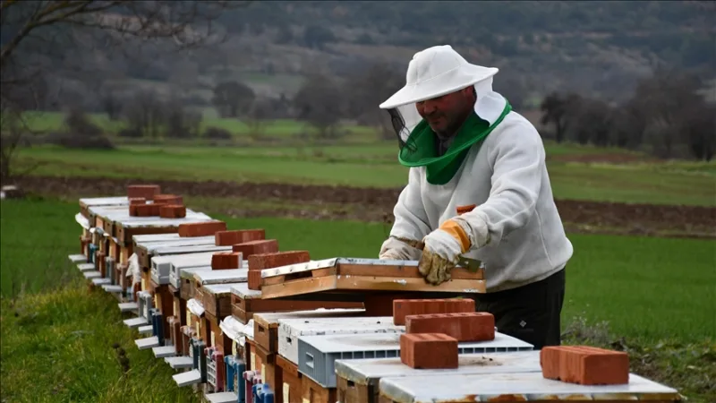 Pieņemti 50 stropi ar projektu 