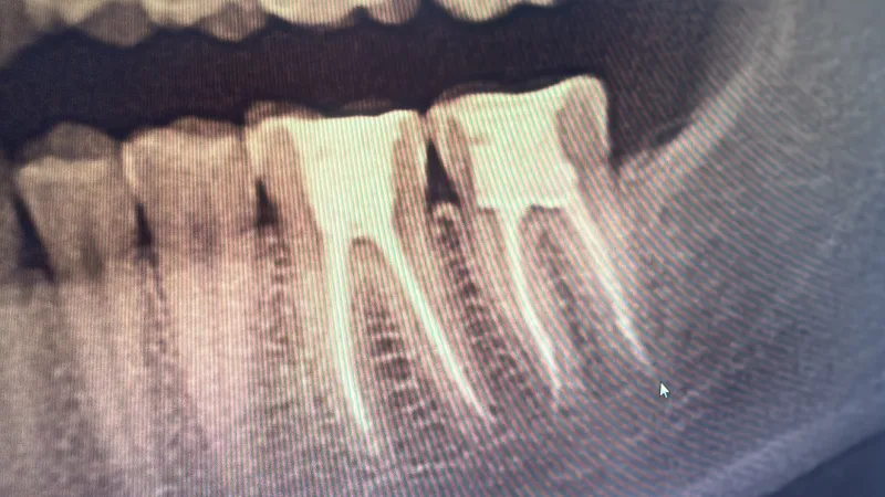 Alanya HEALTHY TEETH Dental Aesthetic — Lääketiede Alanyassa: Online-tilaus, hinnat ja arvostelut