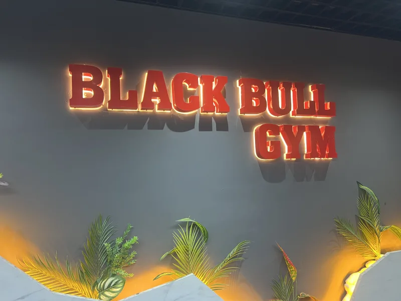 Black Bull Pro GYM — الصالة الرياضية في ألانيا: الطلب عبر الإنترنت والأسعار والتعليقات