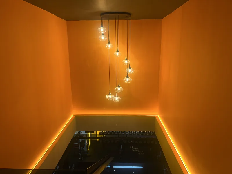 Black Bull Pro GYM — الصالة الرياضية في ألانيا: الطلب عبر الإنترنت والأسعار والتعليقات